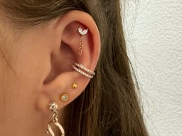 Flat und Conchpiercing