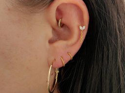 Rook und Helixpiercing